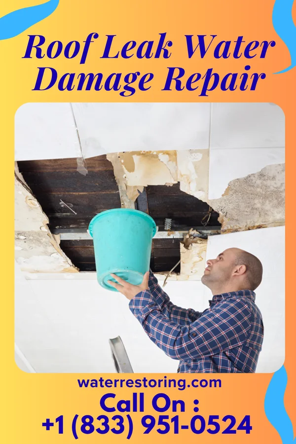 Roof Leak Water Damage Repair in Clyde, NJ