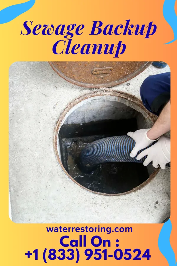 Sewage Backup Cleanup in Clyde, NJ