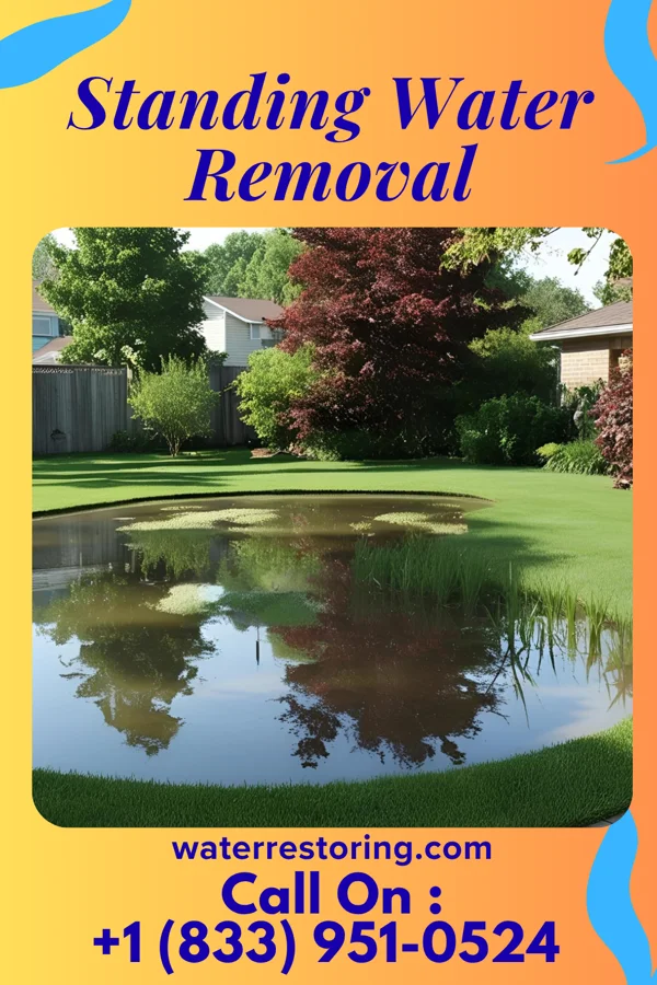 Standing Water Removal in Clyde, NJ